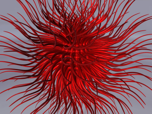 613728 (a): :1600x1200